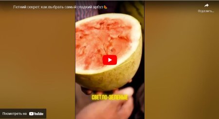 Летний секрет: как выбрать самый сладкий арбуз🍉