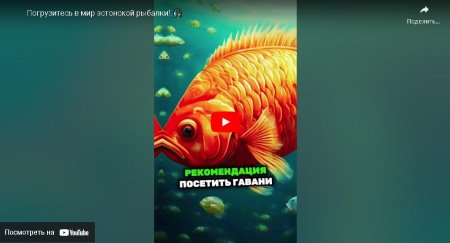 Погрузитесь в мир эстонской рыбалки! 🎣